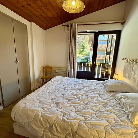 Appartement Duplex 2 Au Centre Du Village, Proche Pistes De Ski, Parking Inclus, - Fr-1-437-40